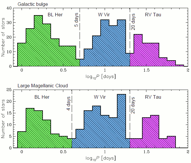Period distribution of type II Cepheids in the GB and LMC