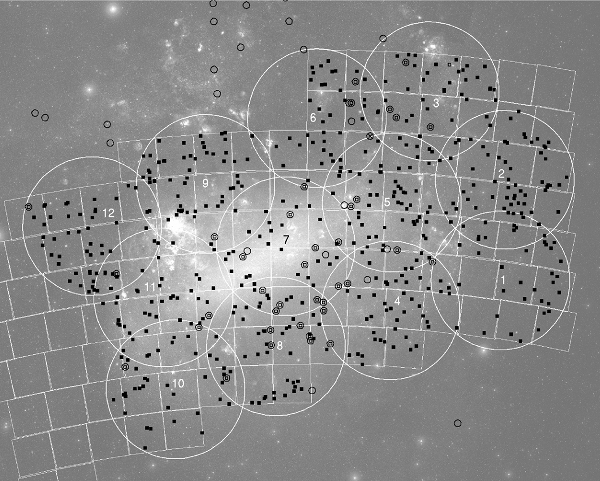 Quasars behind the LMC