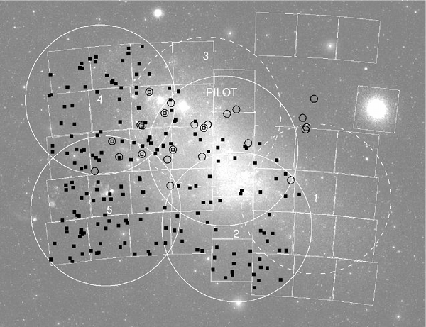 Quasars behind the SMC